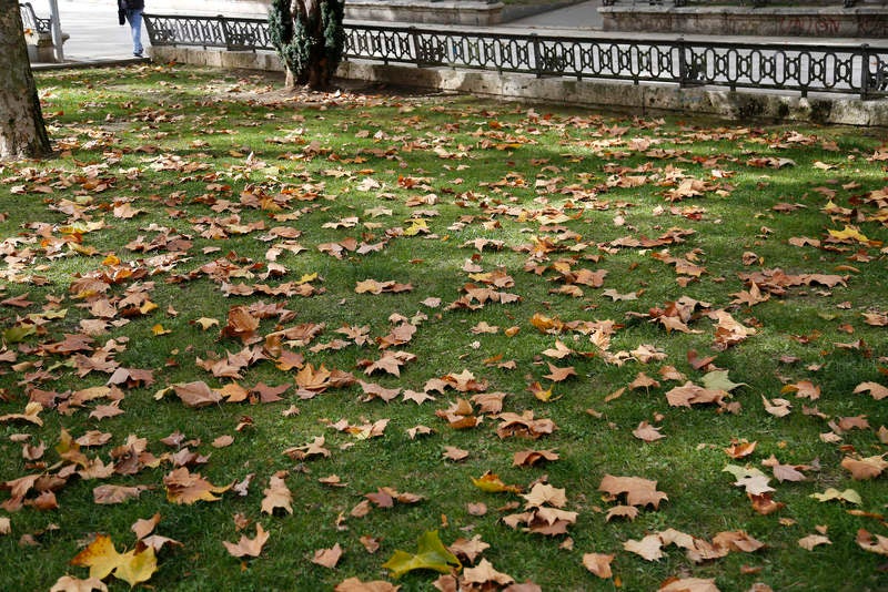 Palencia se viste de otoño