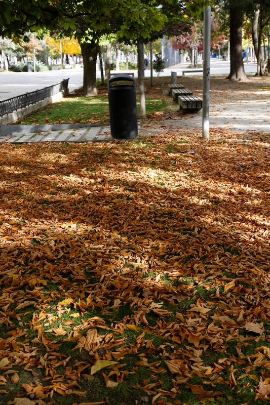 Palencia se viste de otoño