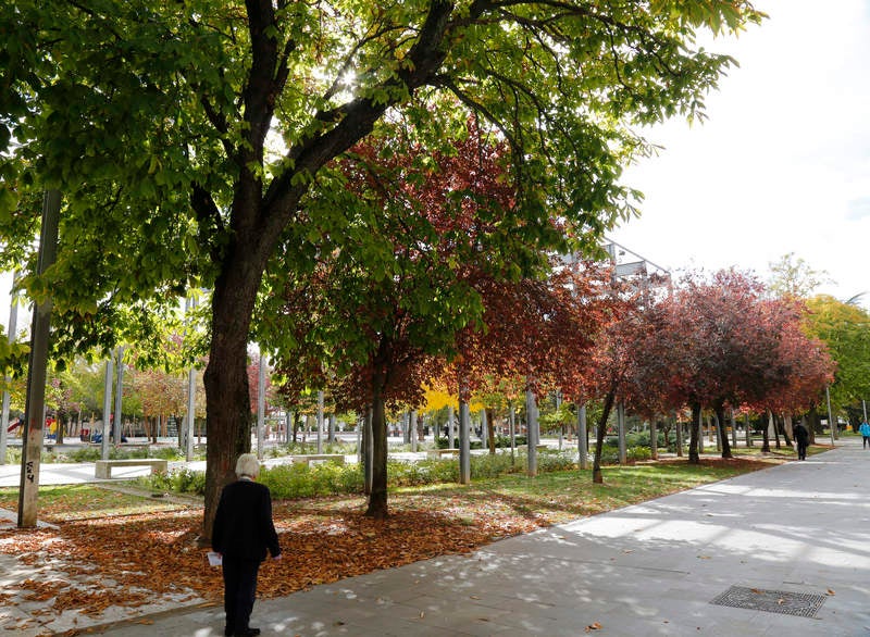 Palencia se viste de otoño