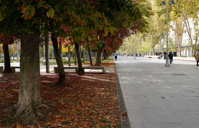 Palencia se viste de otoño