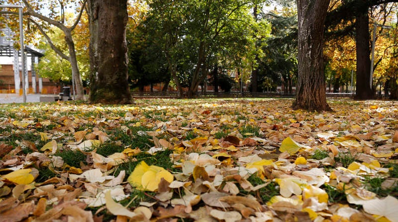 Palencia se viste de otoño