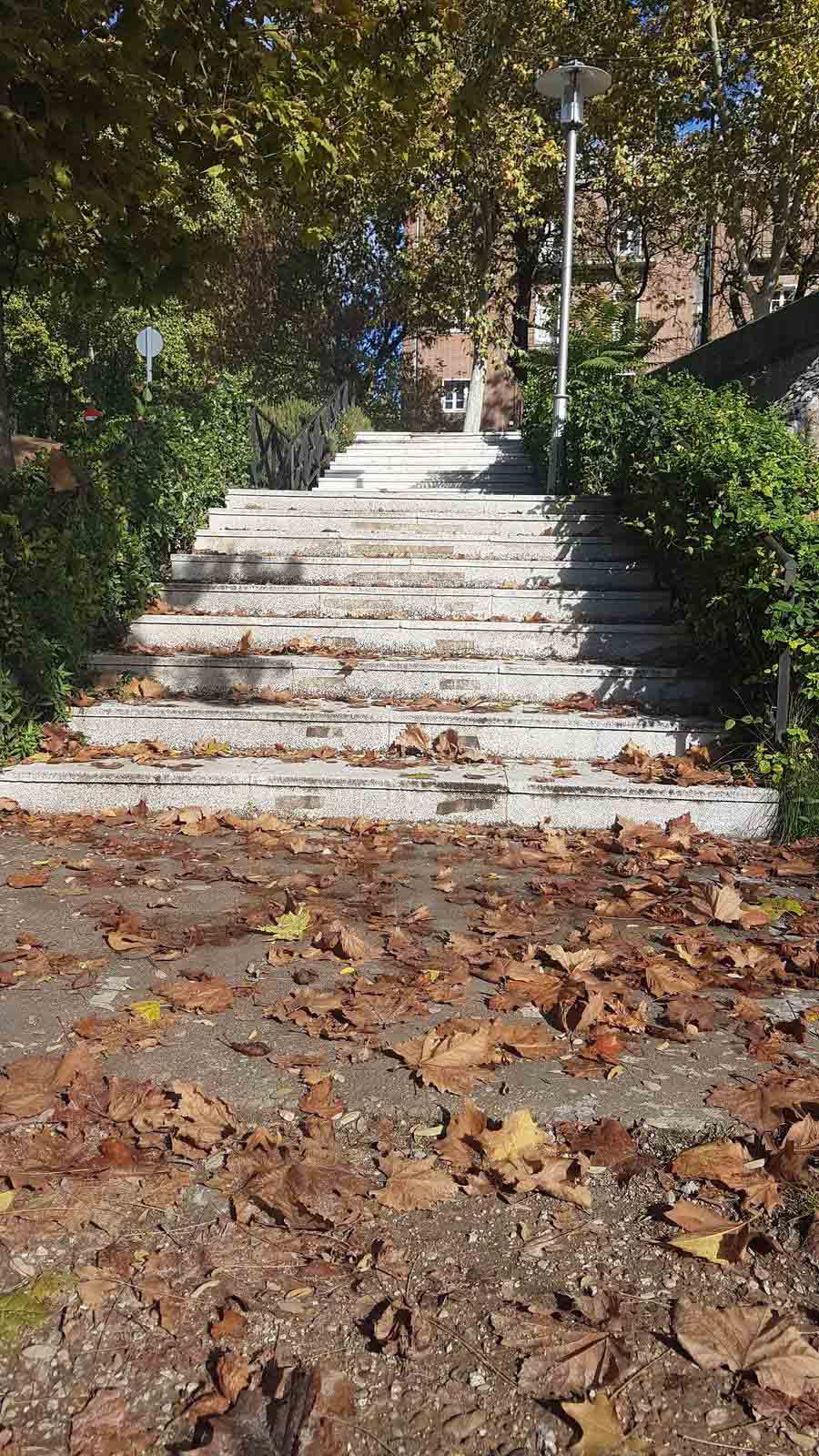 Valladolid se viste de otoño