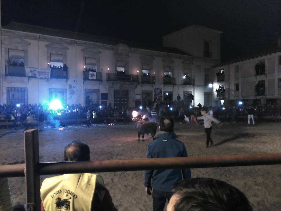 Celebración del Toro Júbilo en Medinaceli con la protesta de los antitaurinos