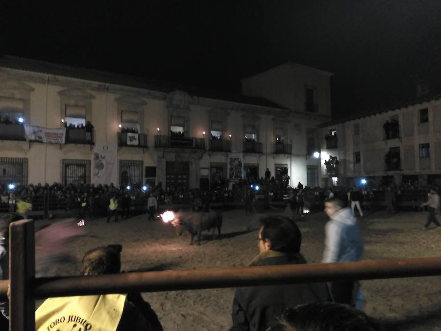 Celebración del Toro Júbilo en Medinaceli con la protesta de los antitaurinos