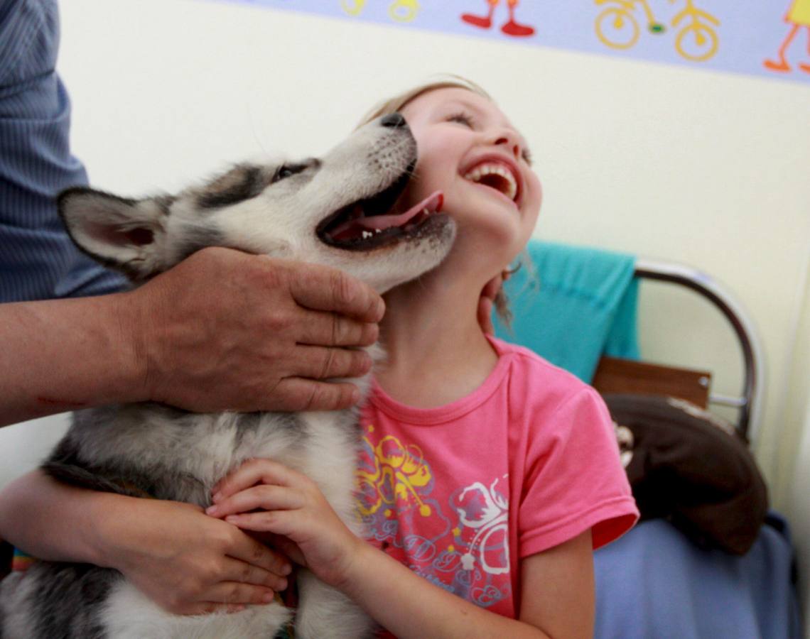 Una paciente juega con un perro durante una sesión de terapia con canes realizada en un hospital infantil.