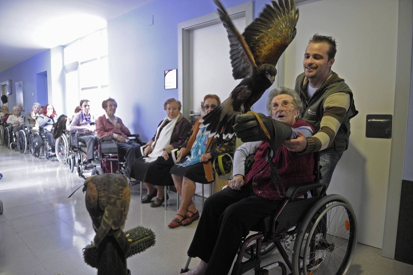 Una residencia de mayores utiliza aves rapaces en sus terapias de estimulación cognitiva con ancianos.