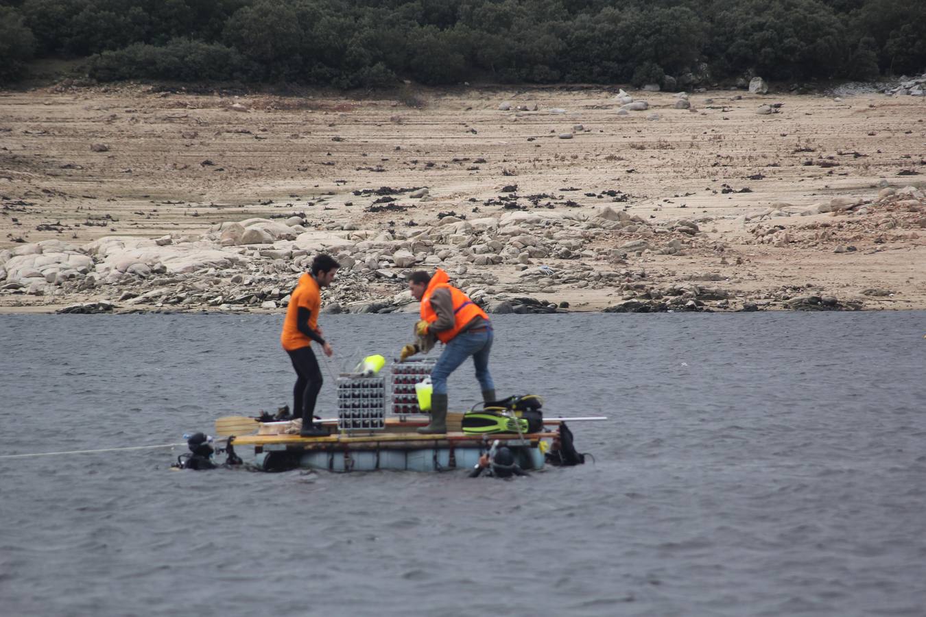 Inmersión de botellas de vino en el embalse de Las Cogotas para su envejecimiento