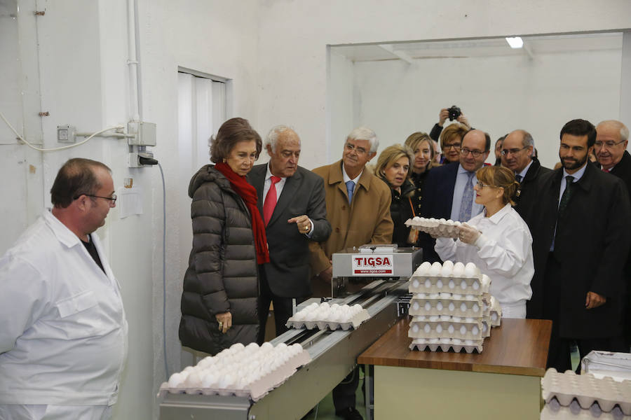 Visita de la Reina Sofía al Banco de Alimentos de Salamanca