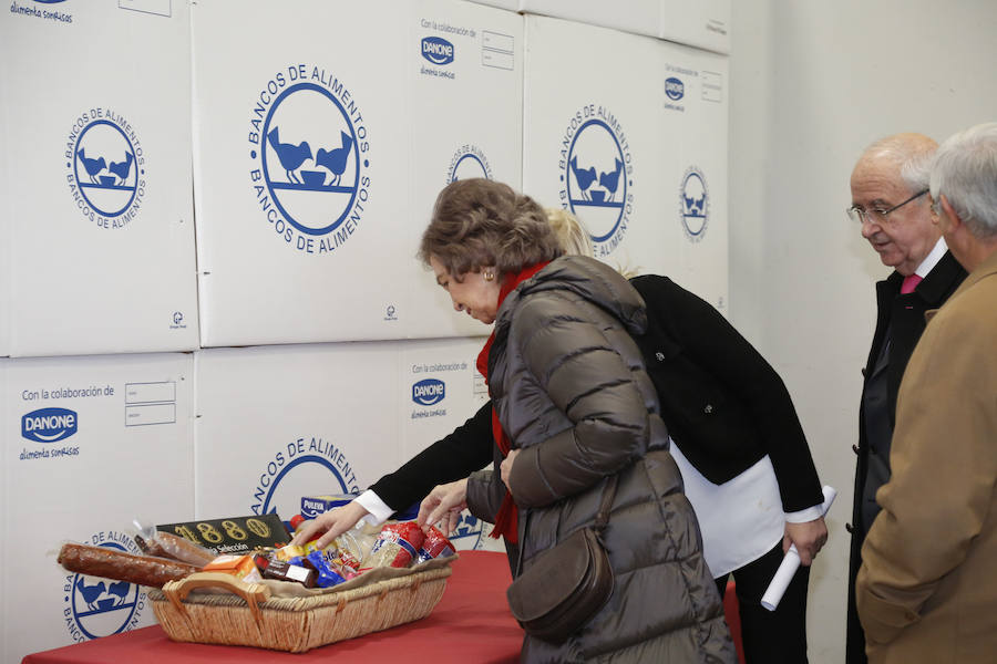 Visita de la Reina Sofía al Banco de Alimentos de Salamanca