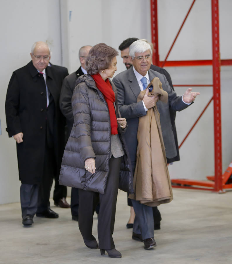 Visita de la Reina Sofía al Banco de Alimentos de Salamanca