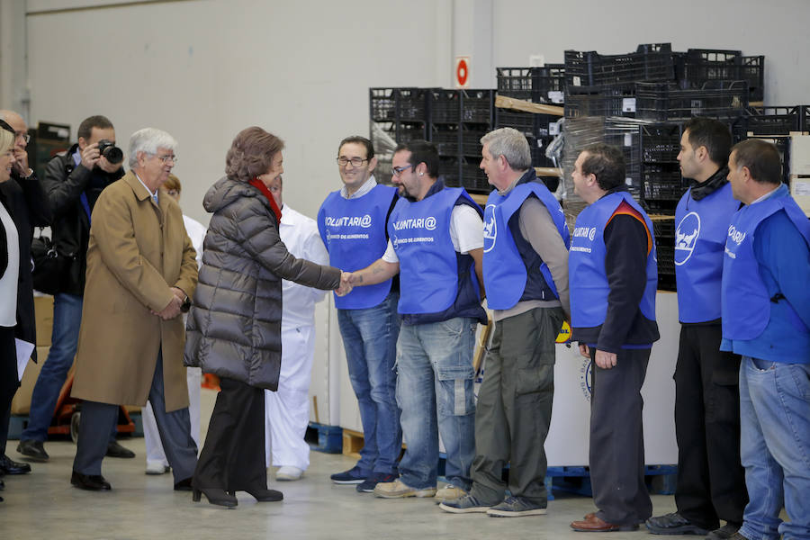 Visita de la Reina Sofía al Banco de Alimentos de Salamanca