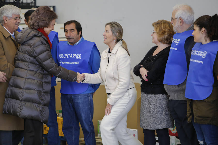 Visita de la Reina Sofía al Banco de Alimentos de Salamanca