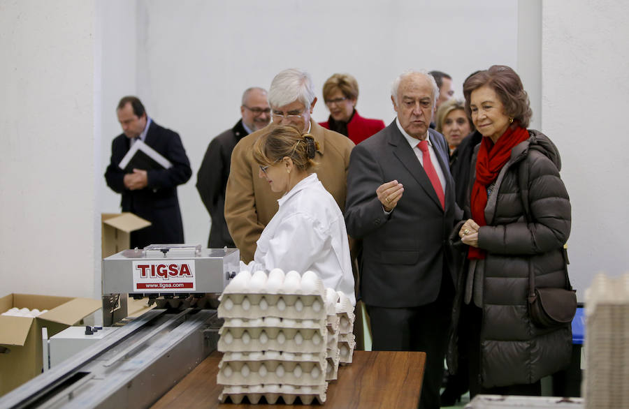 Visita de la Reina Sofía al Banco de Alimentos de Salamanca