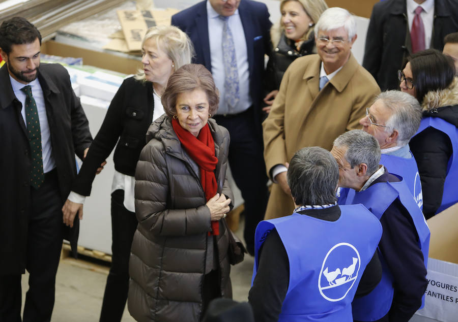 Visita de la Reina Sofía al Banco de Alimentos de Salamanca