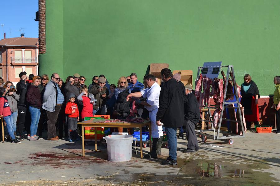 Matanza tradicional en Macotera, Salamanca