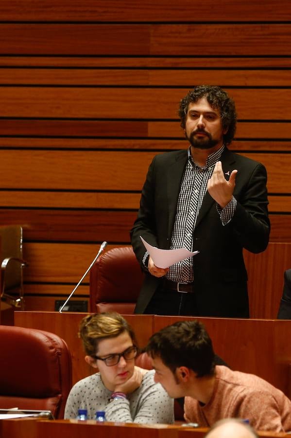 Pleno en las Cortes de Castilla y León