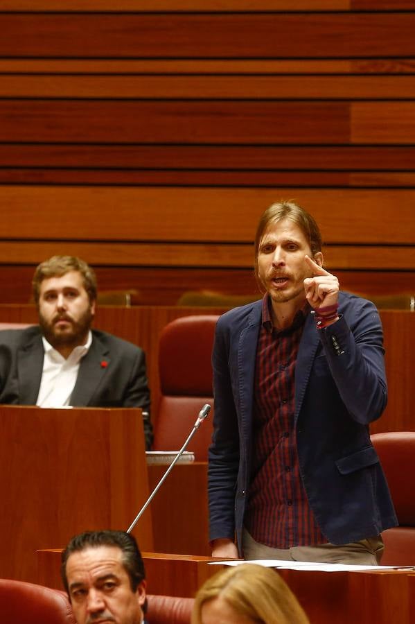 Pleno en las Cortes de Castilla y León