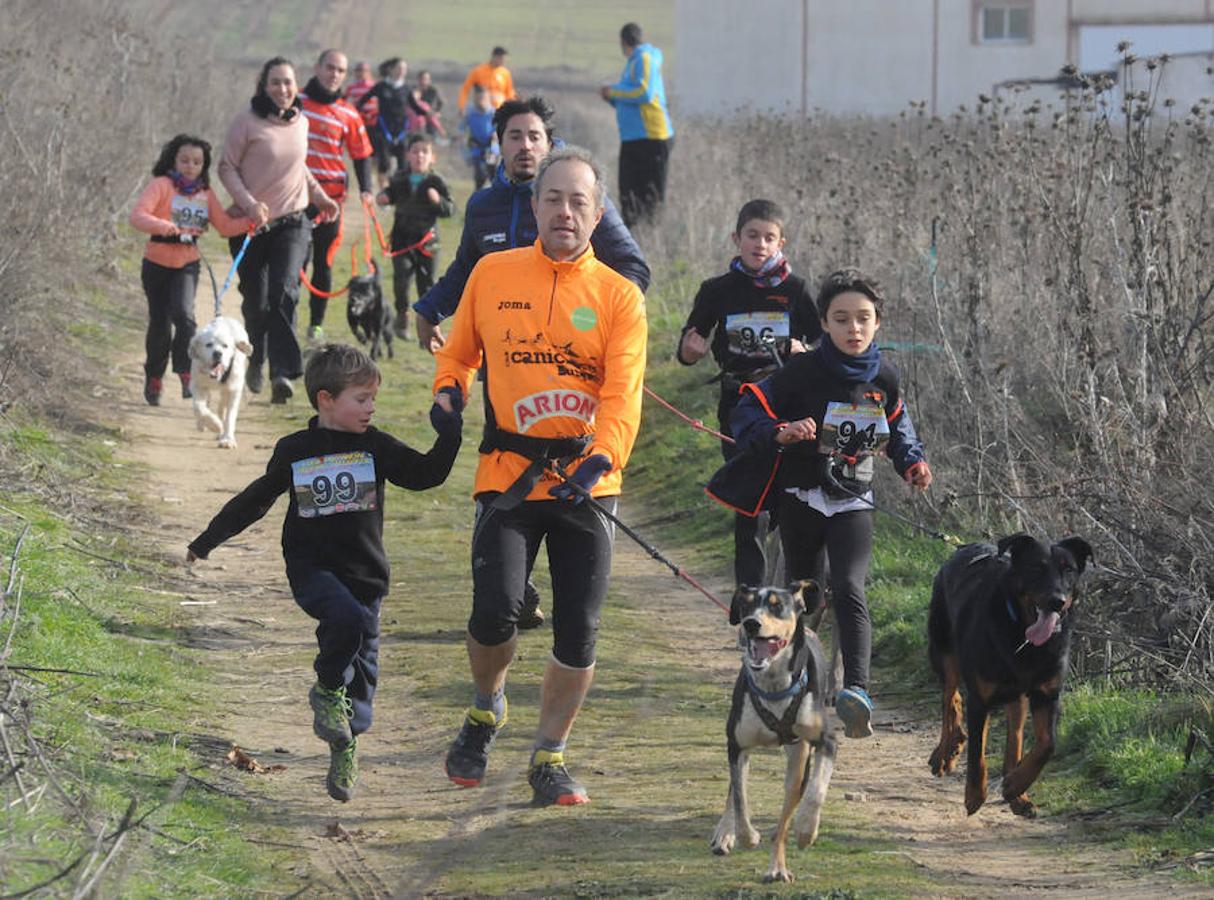 Carrera de mushing &#039;Villa de La Seca&#039;