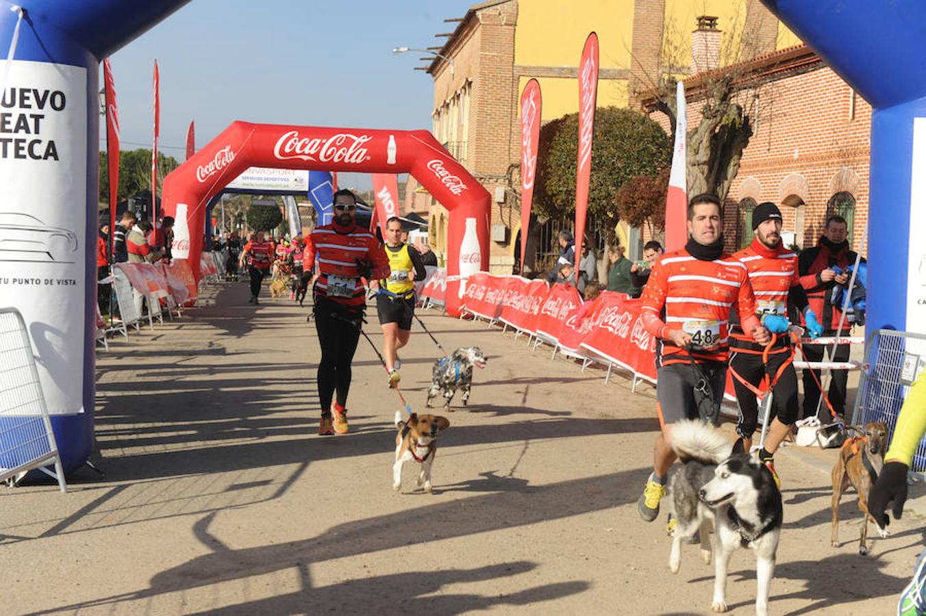 Carrera de mushing &#039;Villa de La Seca&#039;