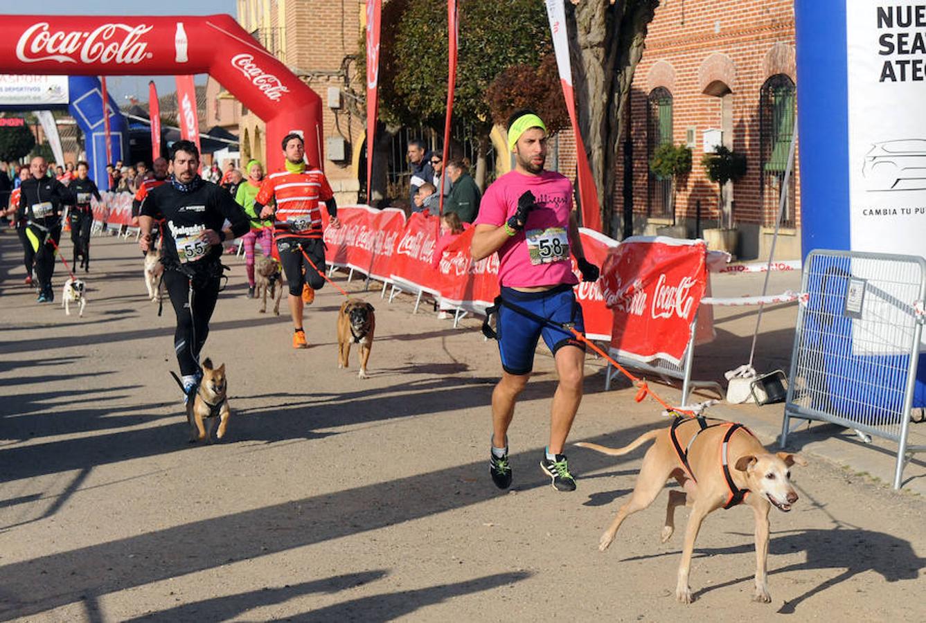 Carrera de mushing &#039;Villa de La Seca&#039;