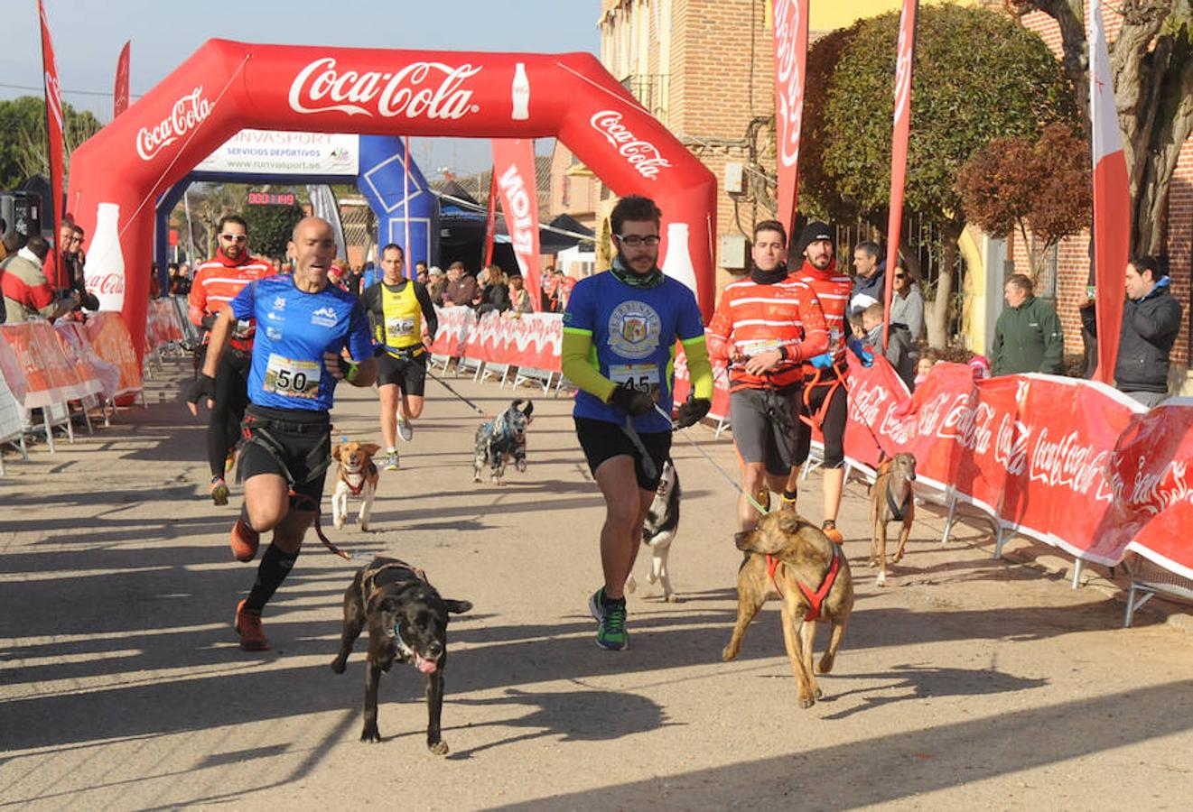 Carrera de mushing &#039;Villa de La Seca&#039;