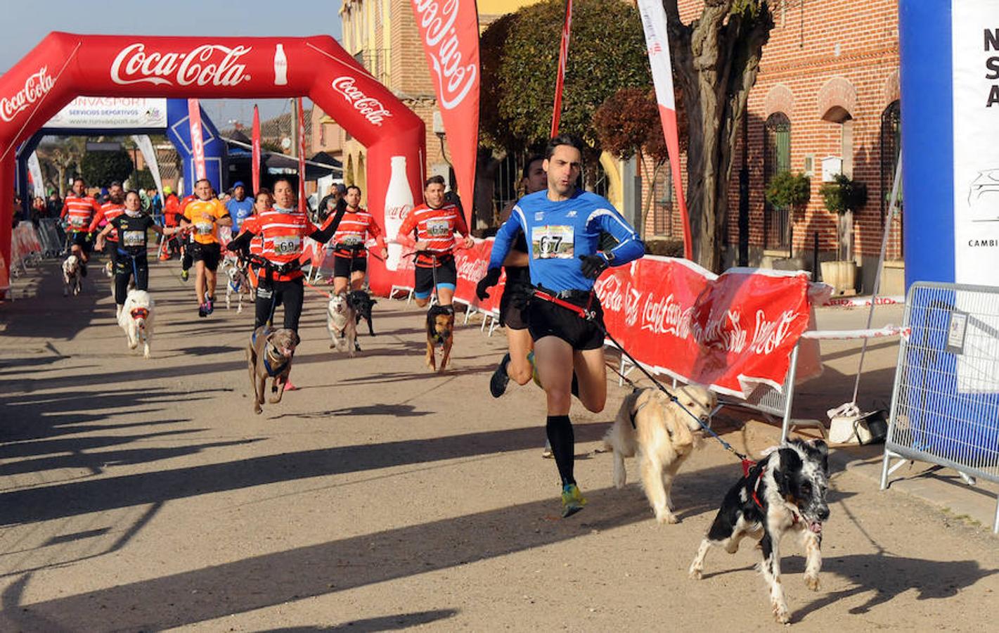 Carrera de mushing &#039;Villa de La Seca&#039;