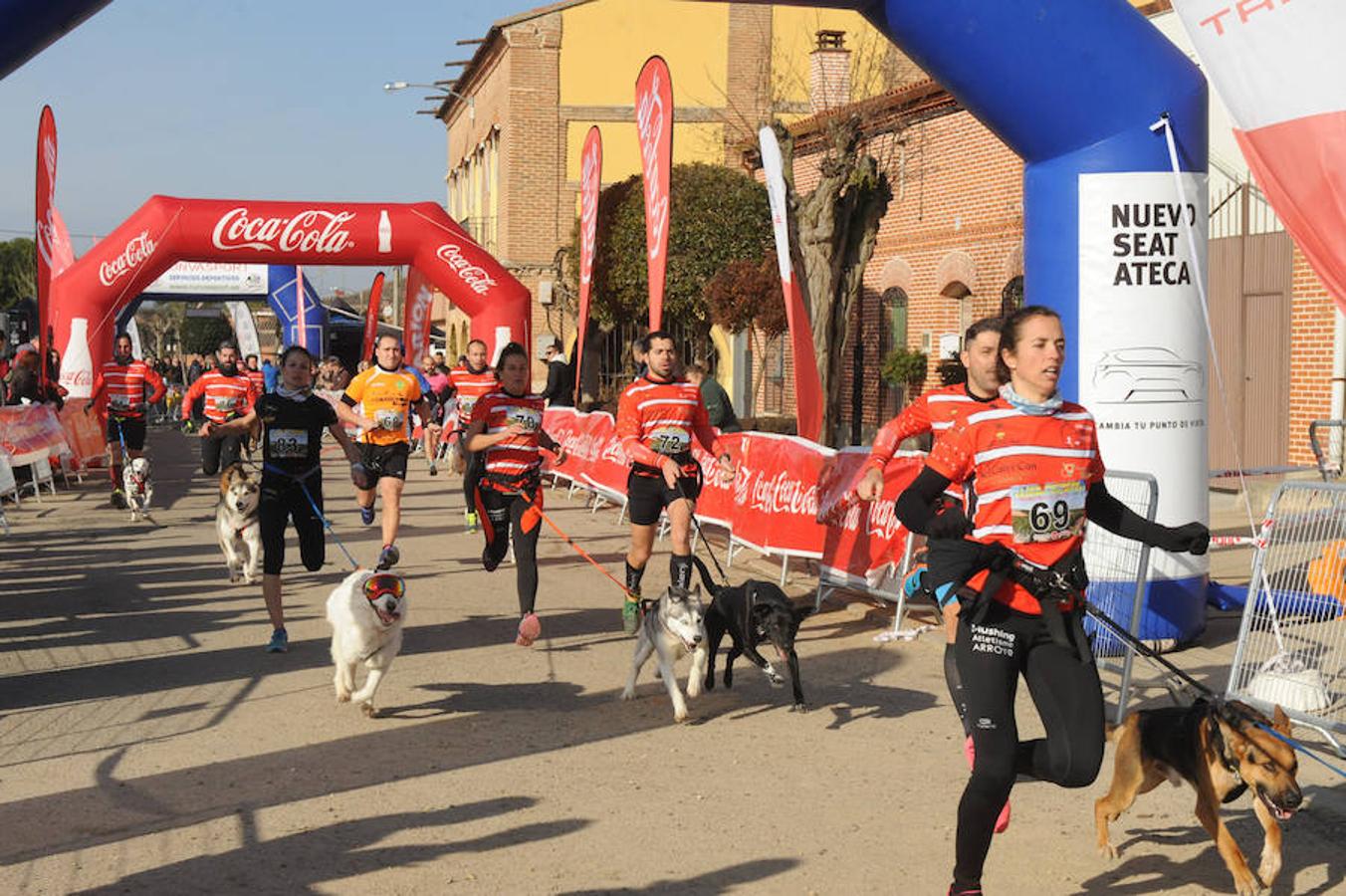 Carrera de mushing &#039;Villa de La Seca&#039;