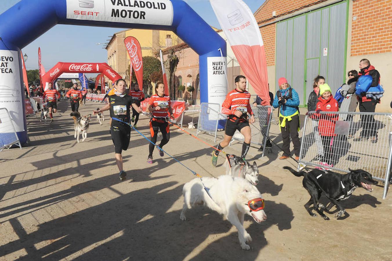 Carrera de mushing &#039;Villa de La Seca&#039;