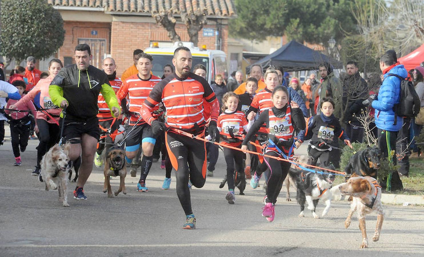 Carrera de mushing &#039;Villa de La Seca&#039;