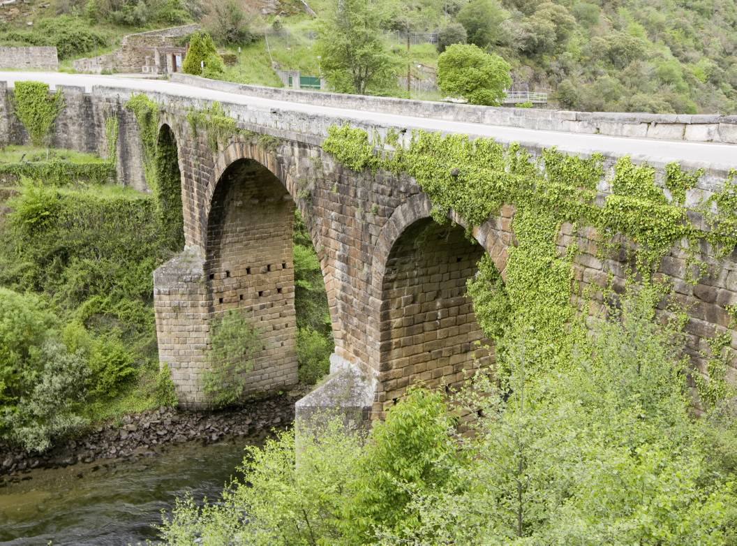 Puente del Bibey, en Puebla de Trives (Orense). Es uno de los puentes romanos mejor conservados de Galicia. Cruza el río Bibey en el municipio de Puebla de Trives. Tiene tres arcos y 22 metros de altura. Desde tiempos romanos, nunca ha perdido su función del obra útil. Actualmente sirve de paso para la carretera autonómica OU-636 que comunica la Puebla de Trives con Larouco.