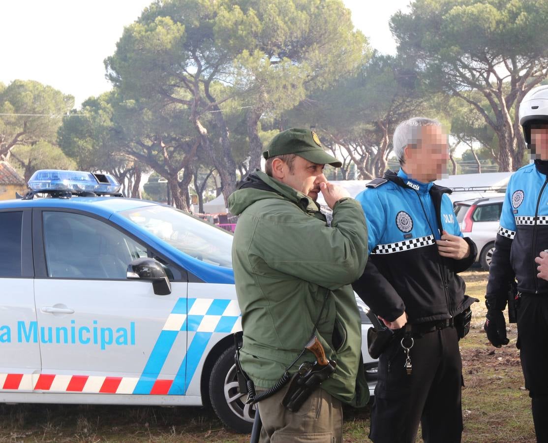 Los primeros Pingüinos llegan a Valladolid