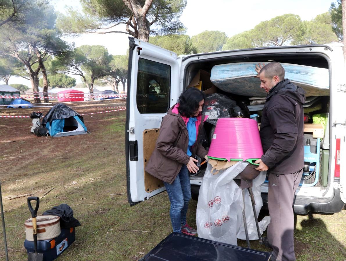 Los primeros Pingüinos llegan a Valladolid