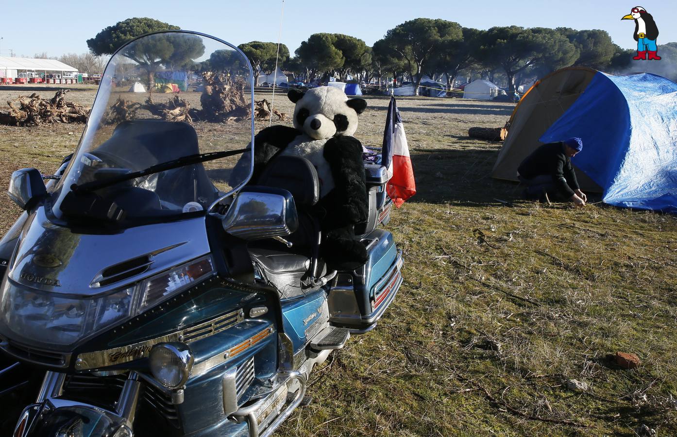 La antigua Hípica Militar se llena de Pingüinos