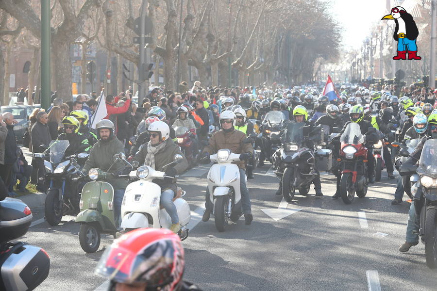 Ambiente en el desfile de banderas de Pingüinos en Valladolid (Parte 4)