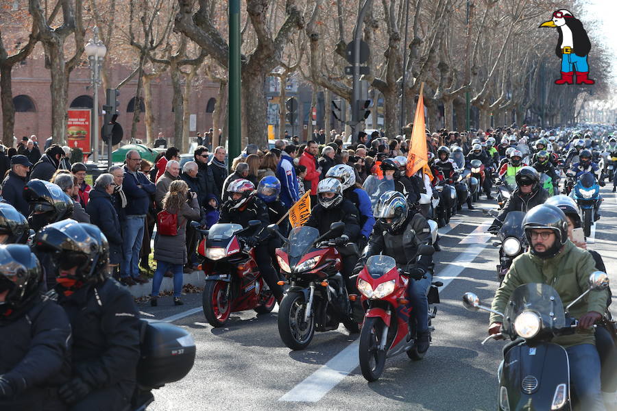 Ambiente en el desfile de banderas de Pingüinos en Valladolid (Parte 5)