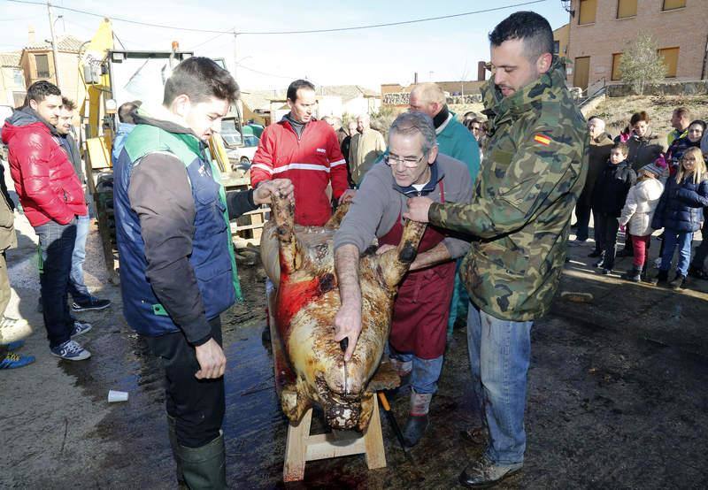 Matanza y fiesta de San Antón en Fuentes de Nava (Palencia)