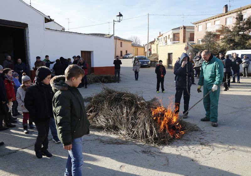 Matanza y fiesta de San Antón en Fuentes de Nava (Palencia)