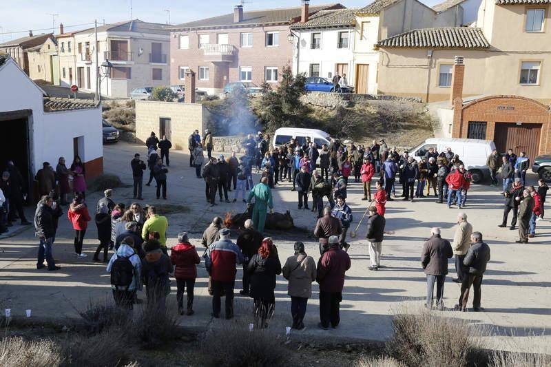 Matanza y fiesta de San Antón en Fuentes de Nava (Palencia)