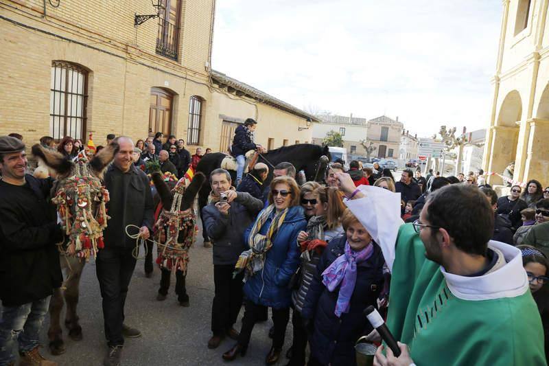 Matanza y fiesta de San Antón en Fuentes de Nava (Palencia)