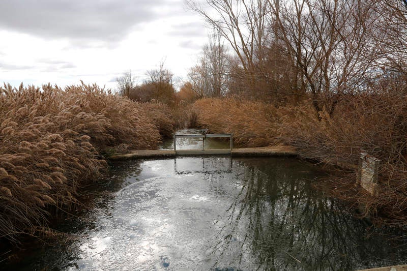 El consejero de Fomento y Medio Ambiente visita las localidades de Villarramiel, Paredes de Nava y Fuentes de Nava