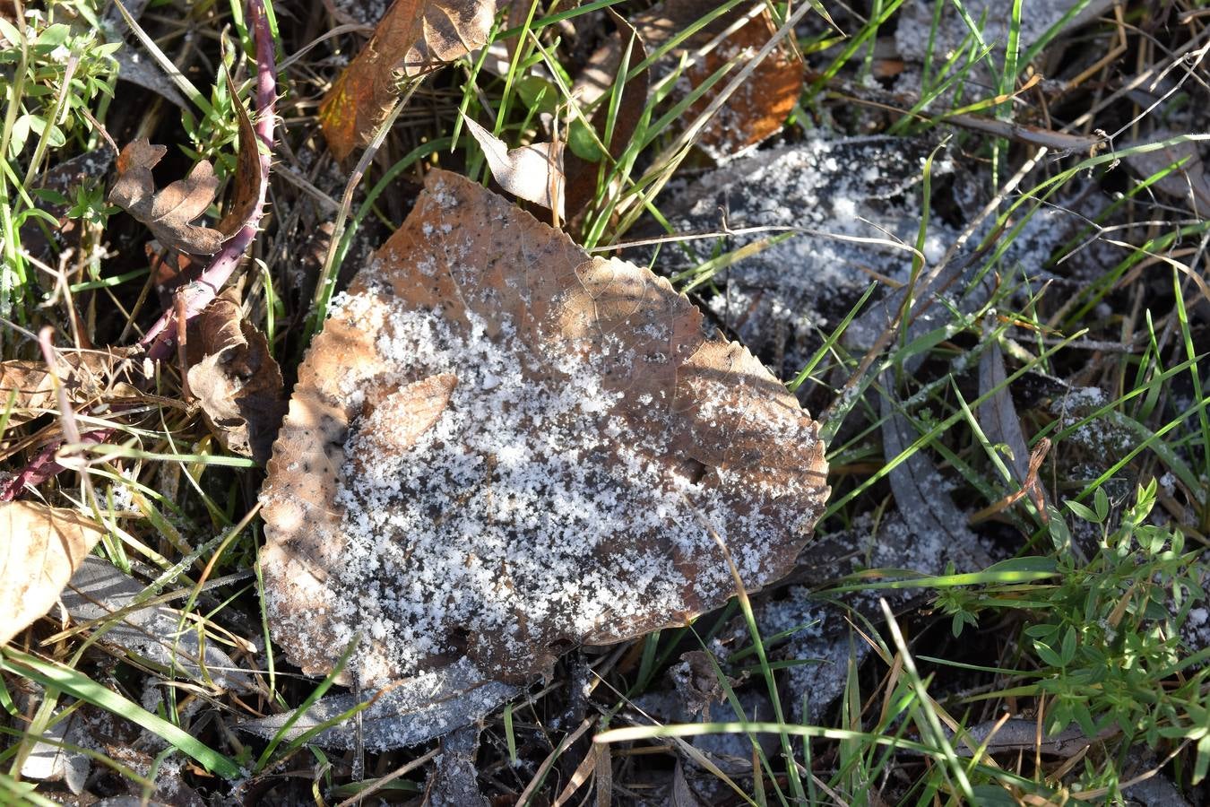 Jornada de frío en Aguilar de Campoo (Palencia)