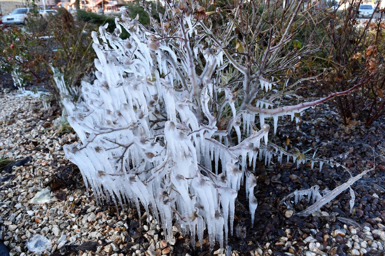 Jornada de frío en Aguilar de Campoo (Palencia)