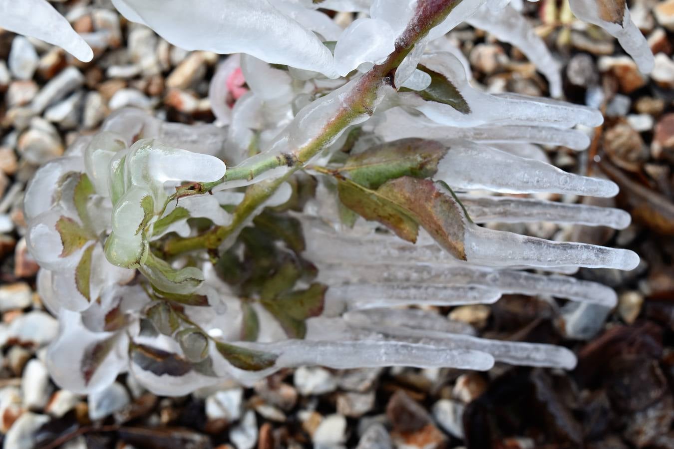 Aguilar de Campoo se congela