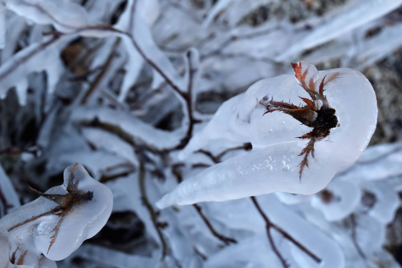 Aguilar de Campoo se congela