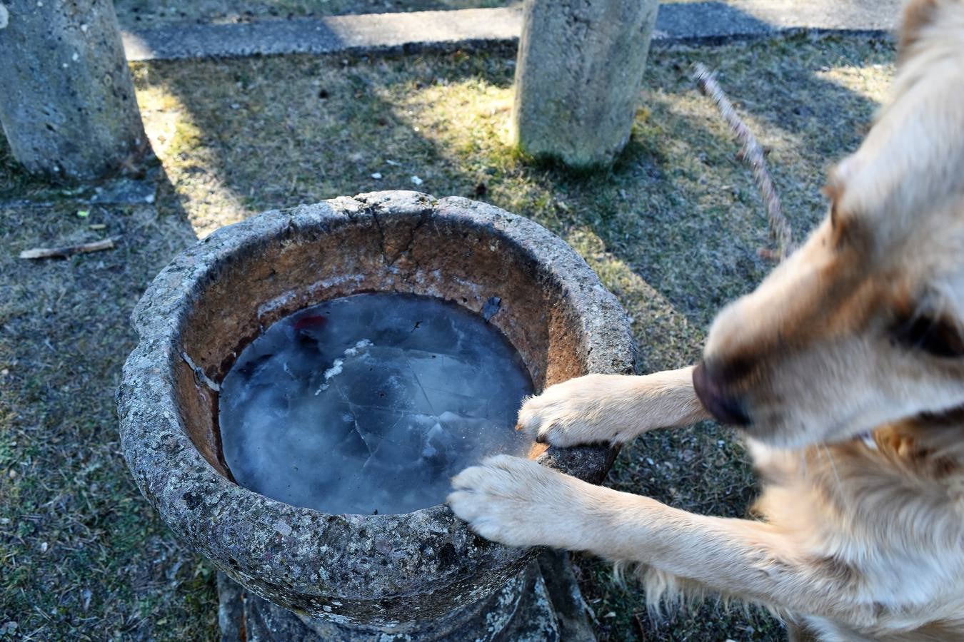 Aguilar de Campoo se congela