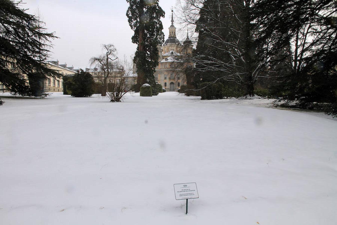 Nieve en Segovia capital y La Granja