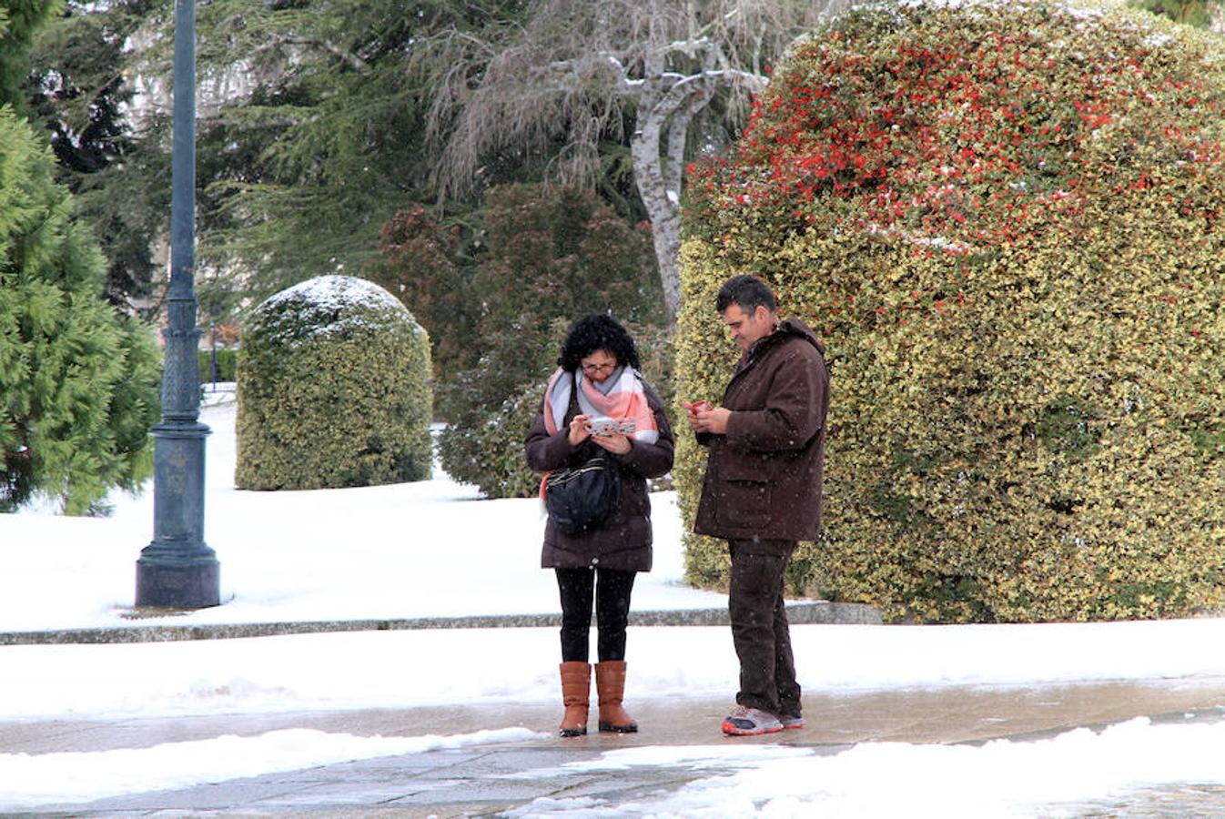 Nieve en Segovia capital y La Granja