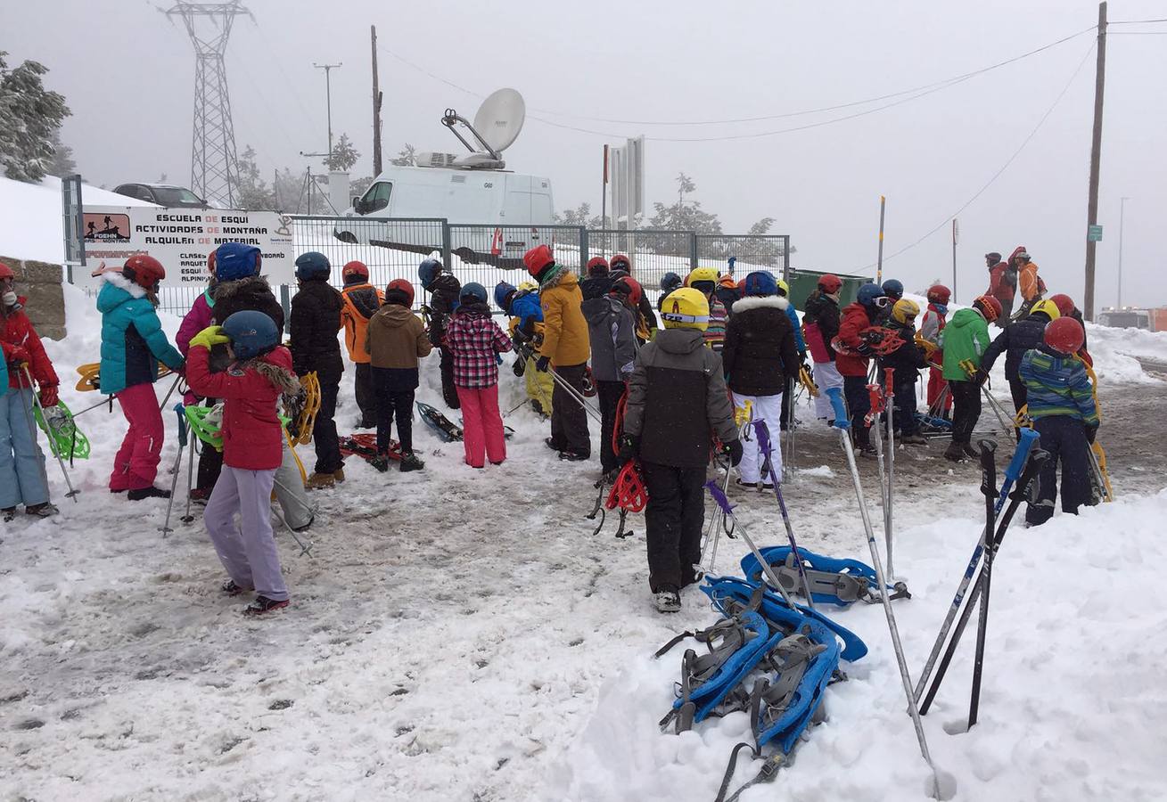 Nieve en Navacerrada