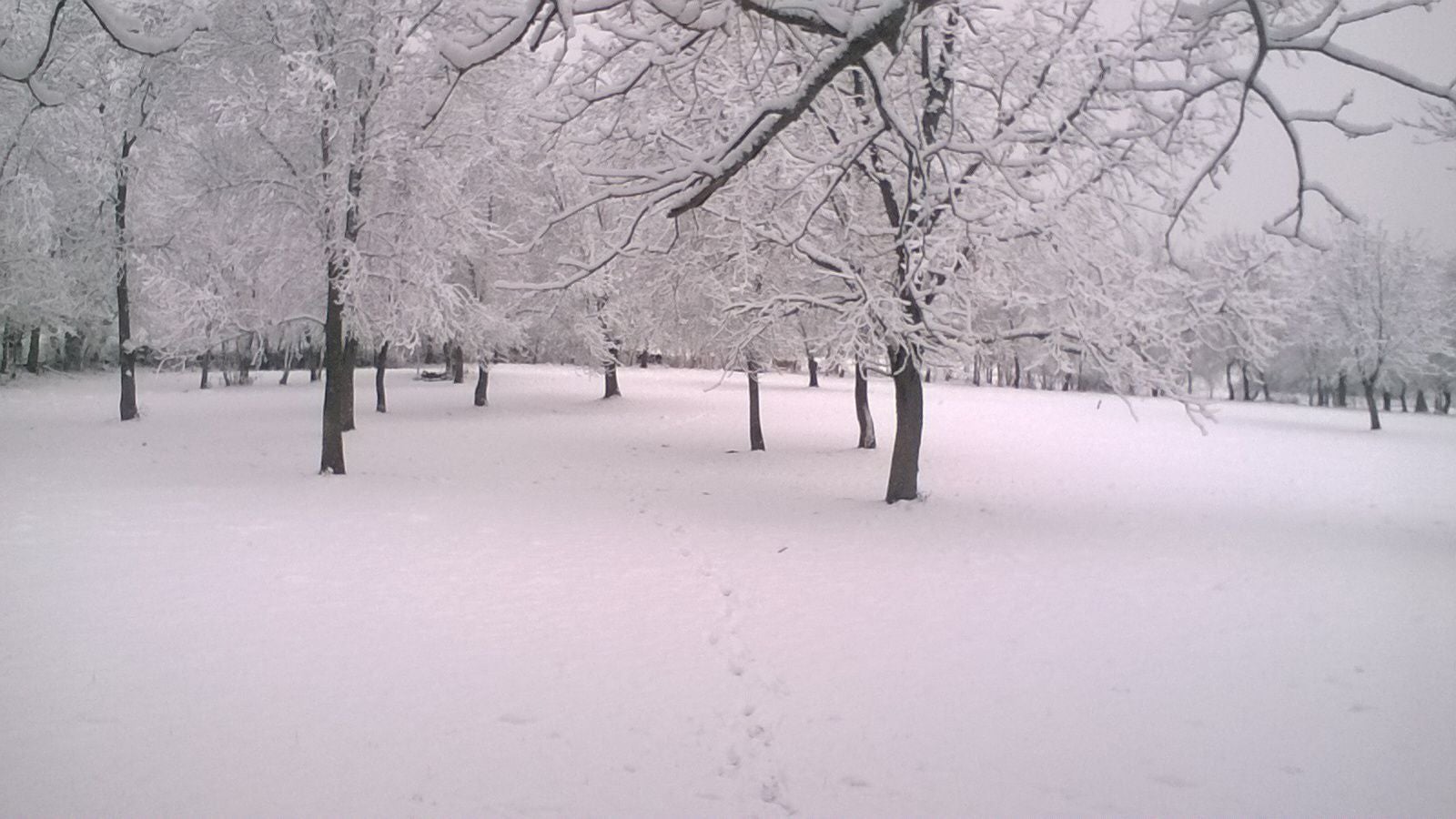 Nieve en San Juan del Molinillo (Ávila)