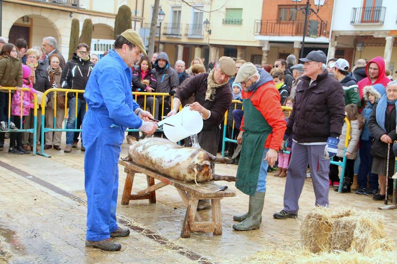 Fiesta de la Matanza en Dueñas